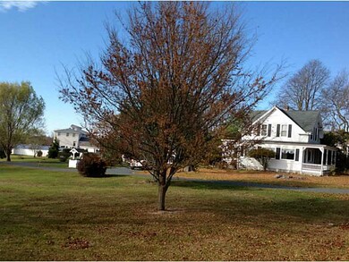Yard/Garden.