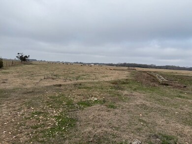 22844 Floyd Moore Rd, Gentry, AR 72734 - photo 6