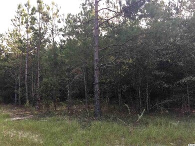 0 Whispering Hills Rd, Loris, SC 29569 - photo 4