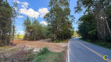 0 Peurifoy Rd unit 25510565, Walterboro, SC 29488 - photo 2