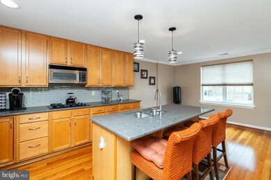 4800 Coyle Rd unit 303, Owings Mills, MD 21117 - photo 7