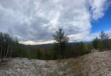 0 Colony Mine unit 4898845, Alstead, NH 03602 - photo 6