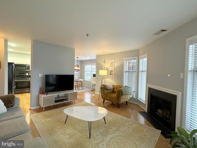 5575 Seminary Rd unit 204, Falls Church, VA 22041 - photo 6