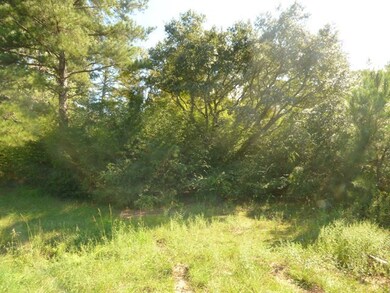 4004 Us Highway 98, McComb, MS 39648 - photo 2