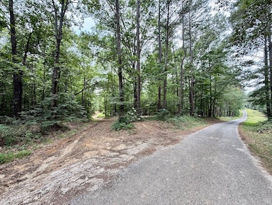 Co Rd 700 unit LotWP001, Cedar Bluff, AL 35959 - photo 5