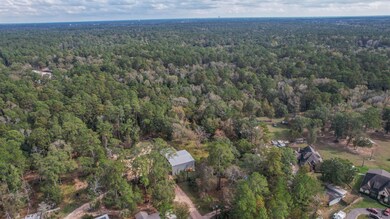 26538 Flower Mound Ln, Magnolia, TX 77354 - photo 3