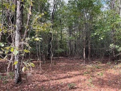 TBD Bloomville Rd, Manning, SC 29102 - photo 2