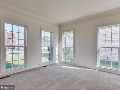 43 Palisades Dr, Stafford, VA 22554 - photo 7