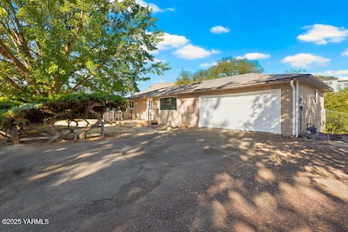 212AnchorLoop-1