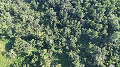 DJI_20250722103028_0249_D