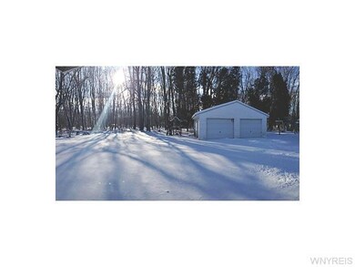 Garage back yard