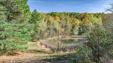 14159 Low Gap Wc 100 Rd, West Fork, AR 72774 - photo 3