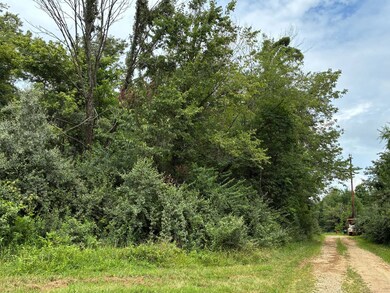 0002 Red Hills Ln, Bridgeport, IL 62417 - photo 7