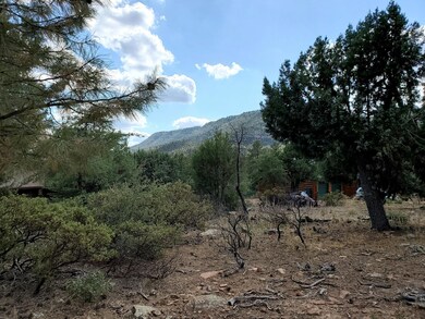148 Buffalo Run, Pine, AZ 85544 - photo 4