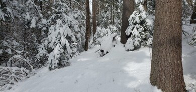 000 Bobbin Mill Rd, Lyman, NH 03585 - photo 6