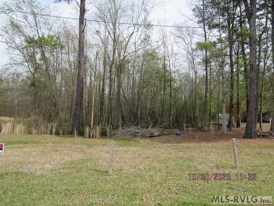 1B Morgan Dr, Como, NC 27818 - photo 3