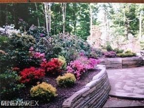 10613 Sherman Rd, Chardon, OH 44024 - photo 3