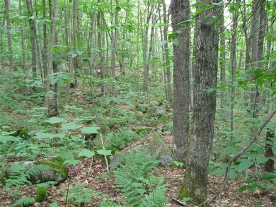 00 Crescent Beach Rd, Morgan, VT 05853 - photo 4