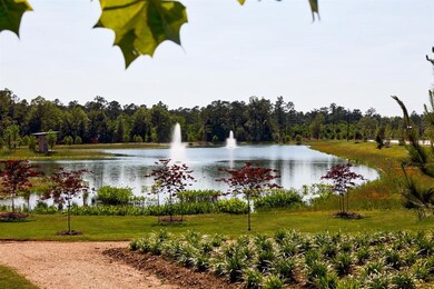 28462 Sunrise View Dr, Spring, TX 77386 - photo 3