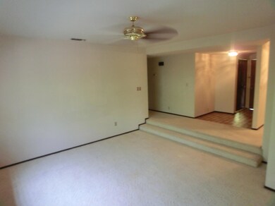 Step Down Living Room