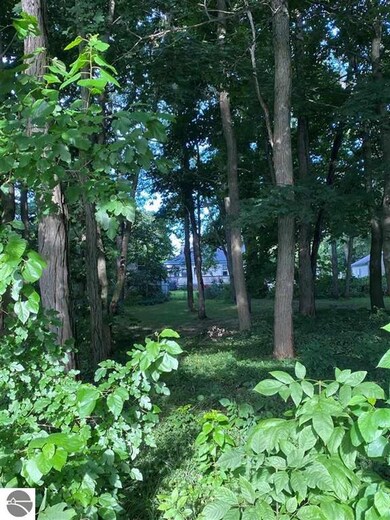 0 Brand, Elk Rapids, MI 49629 - photo 5