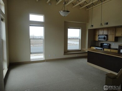 826 Heschel St unit D, Fort Collins, CO 80524 - photo 6