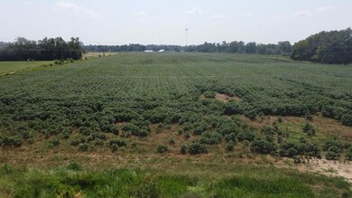 4994 Freeman Rd, Blakely, GA 39823 - photo 7