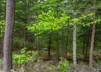 26 Bridgetts Bridge Road_May 26, 201804