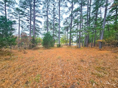 20288 State Highway 63, Hogen, OK 74939 - photo 4