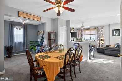 510 Rhoads Ave, Haddonfield, NJ 08033 - photo 6