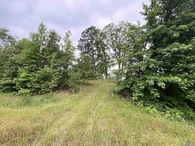 View of undeveloped land