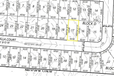 Lot 17D Vallhalla Ct, Gordonville, TX 76245 - photo 4