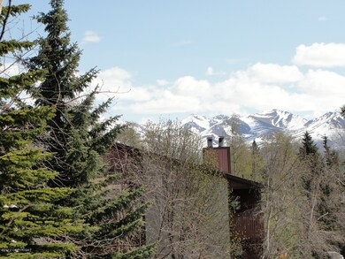 View from deck