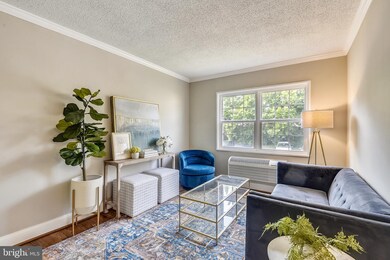 2241 Farrington Ave unit 203, Alexandria, VA 22303 - photo 2