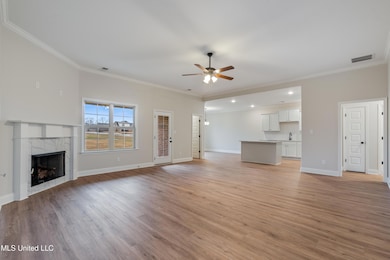 768 Lucas Ln, Hernando, MS 38632 - photo 7