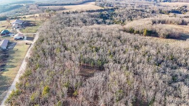 10465 County Road 5260, Cold Spring Township, MO 65401 - photo 4