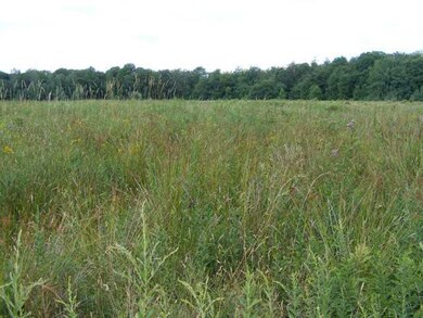 Land/Lot