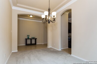 26219 Big Bluestem, San Antonio, TX 78261 - photo 4