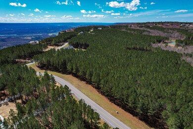 0 Wilderness Dr unit 1352099, Jasper, TN 37347 - photo 5