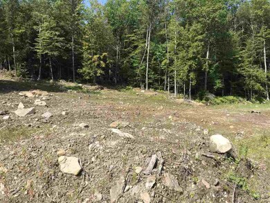 Lot 46 1-1 George Rd unit 46 1-1, Hebron, NH 03241 - photo 3
