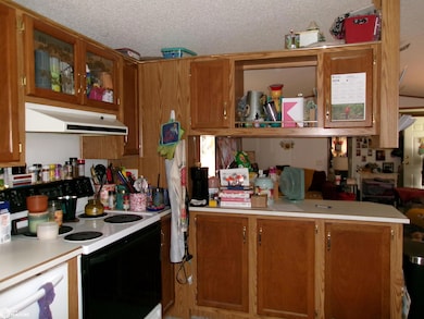 kitchen into living room