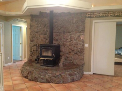 wood burning stove