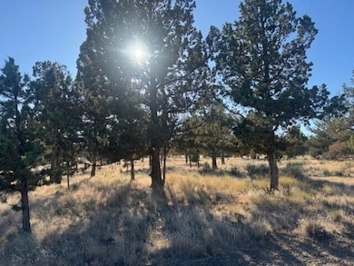 13260 SW Chipmunk Rd, Crooked River Ranch, OR 97760 - photo 4