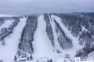 6710 & 6750 Upper Holiday Valley Rd, Ellicottville, NY 14731 - photo 5