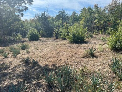 1300 Cliff Manor St, Azle, TX 76020 - photo 2