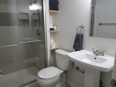 1025 Meghan Ave, Algonquin, IL 60102 - photo 6