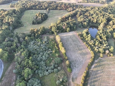 5238 Woodhaven Rd, Pinckneyville, IL 62274 - photo 5