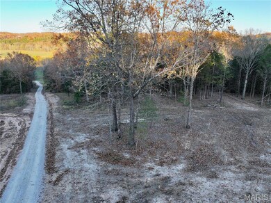 Tract 16E Bobwhite Ln, Unincorporated, MO 65452 - photo 4