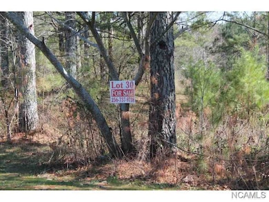 Lot 71 S Montcrest Dr, Cullman, AL 35057 - photo 2