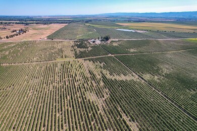 32358 County Road 19, Woodland, CA 95695 - photo 3